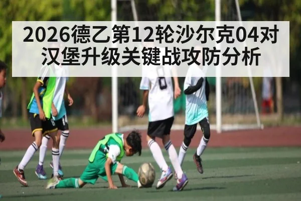 2026德乙第12轮沙尔克04对汉堡升级关键战攻防分析